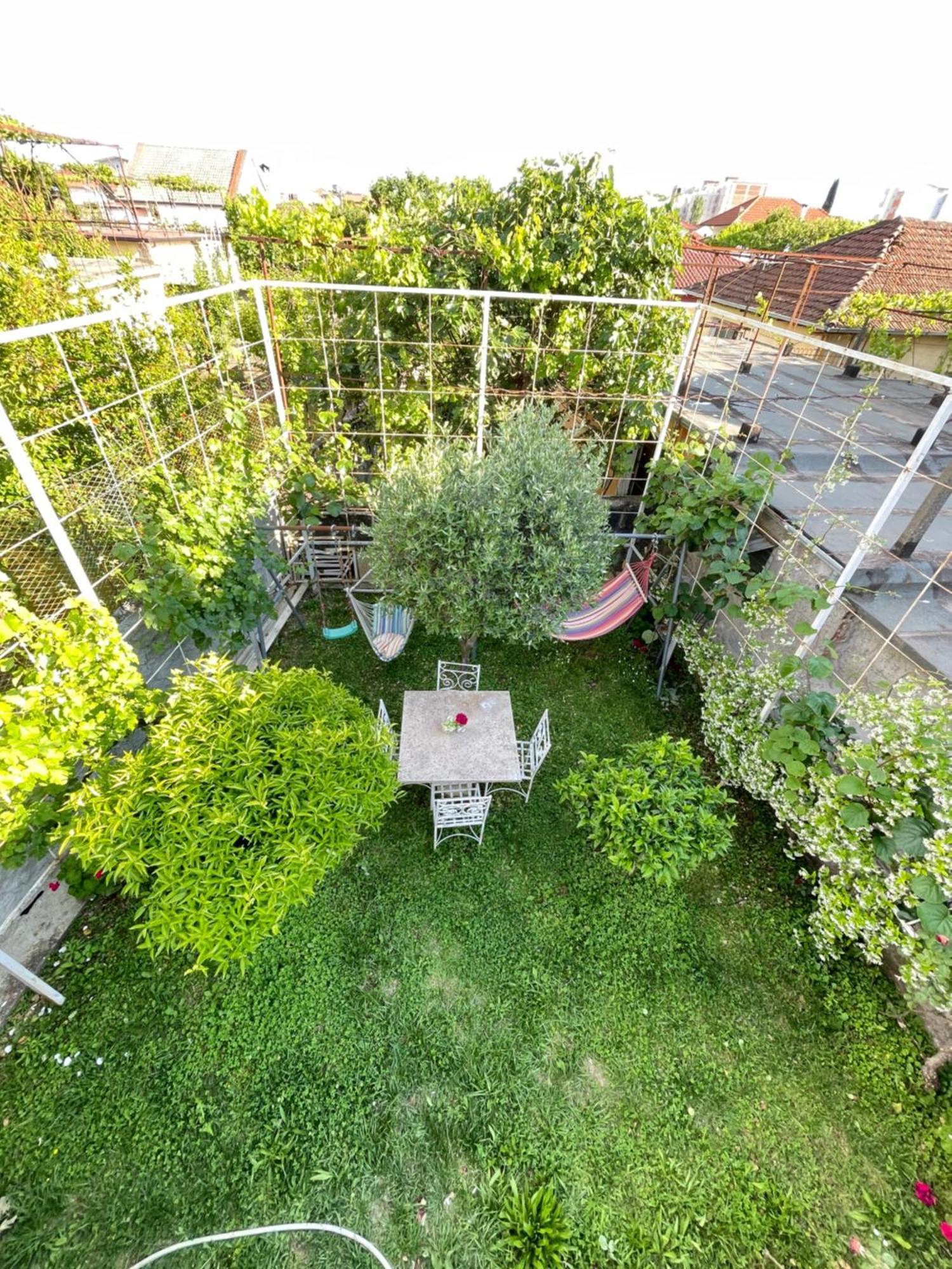 Vila Nela Shkoder Ngoại thất bức ảnh