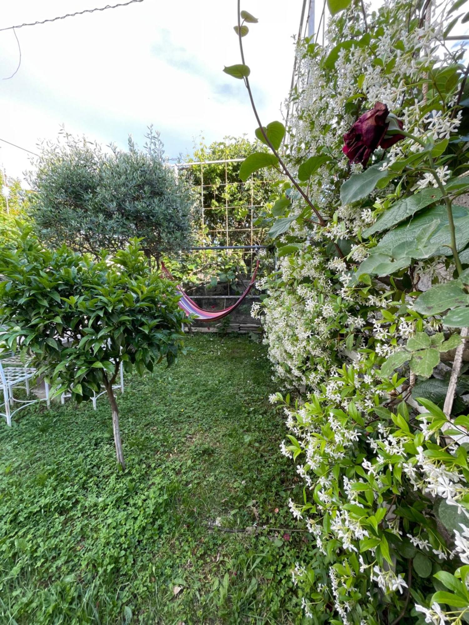 Vila Nela Shkoder Ngoại thất bức ảnh