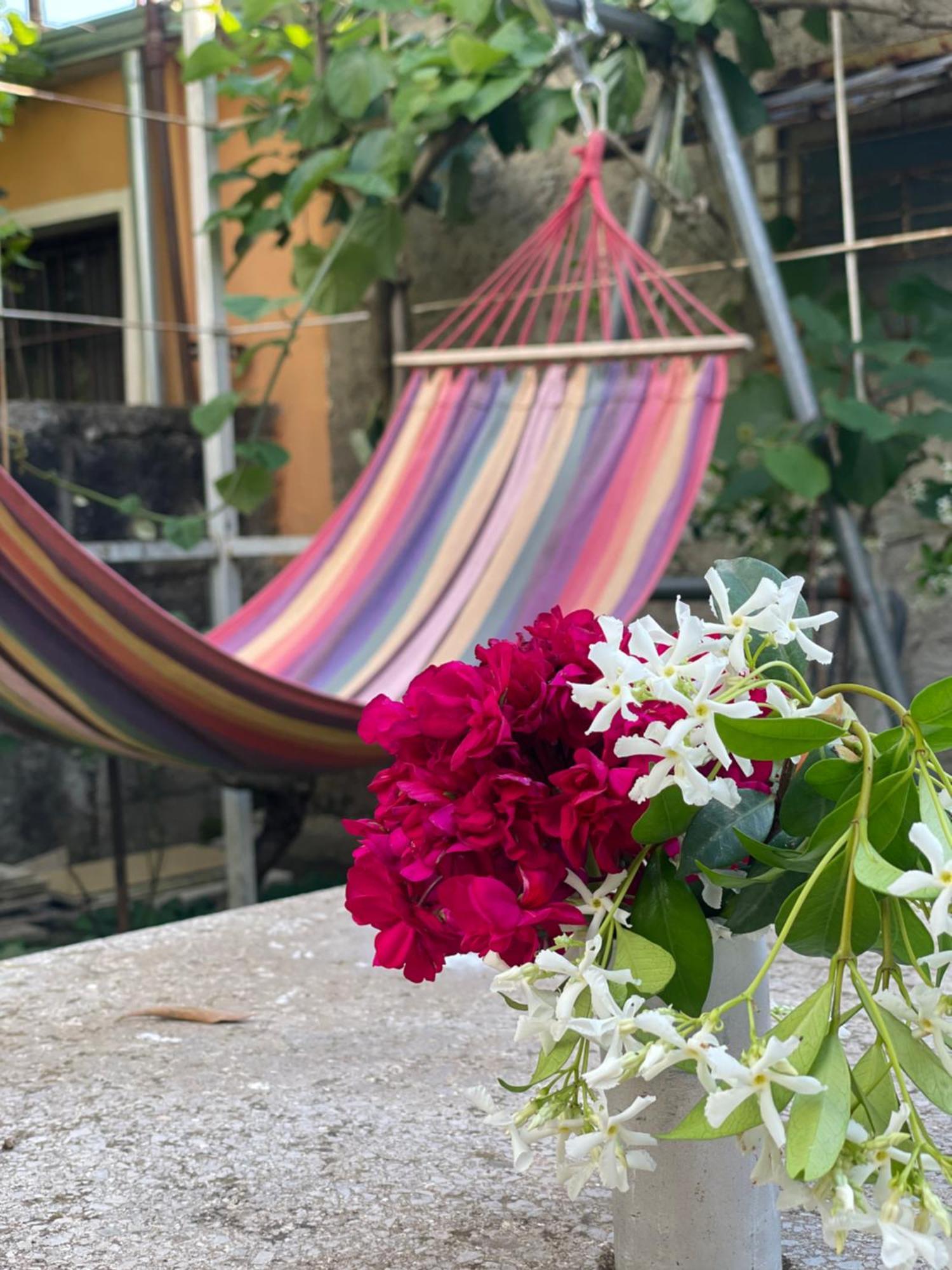 Vila Nela Shkoder Ngoại thất bức ảnh