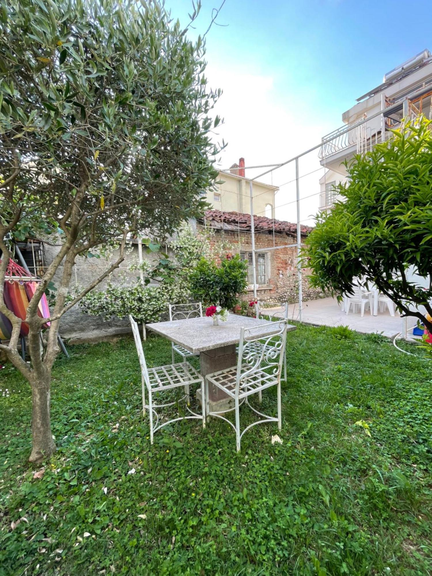 Vila Nela Shkoder Ngoại thất bức ảnh